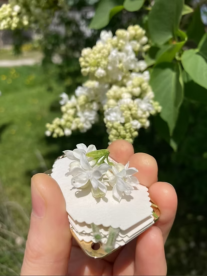 Mini Flower Press